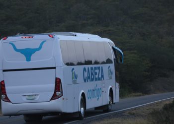 Asunto del autobús “Cabeza Contigo” llega a Tribunal Electoral