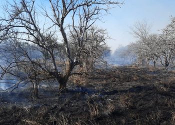 Ayuntamiento de Guémez alerta sobre prevención de incendios forestales