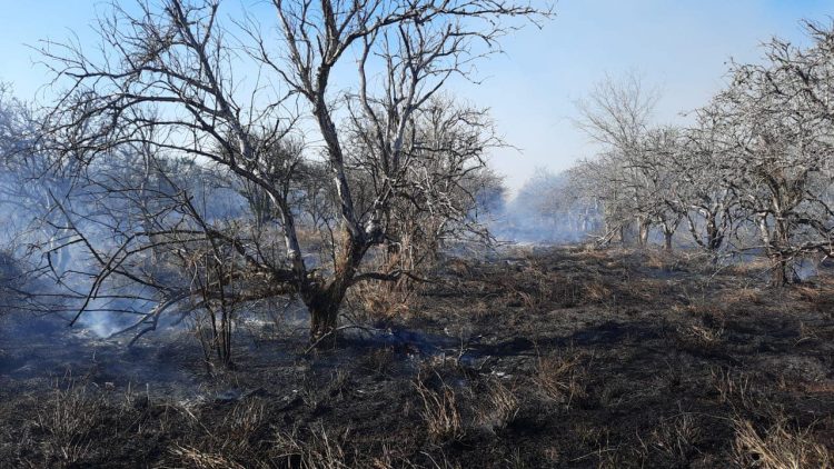 Ayuntamiento de Guémez alerta sobre prevención de incendios forestales