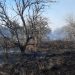 Ayuntamiento de Guémez alerta sobre prevención de incendios forestales