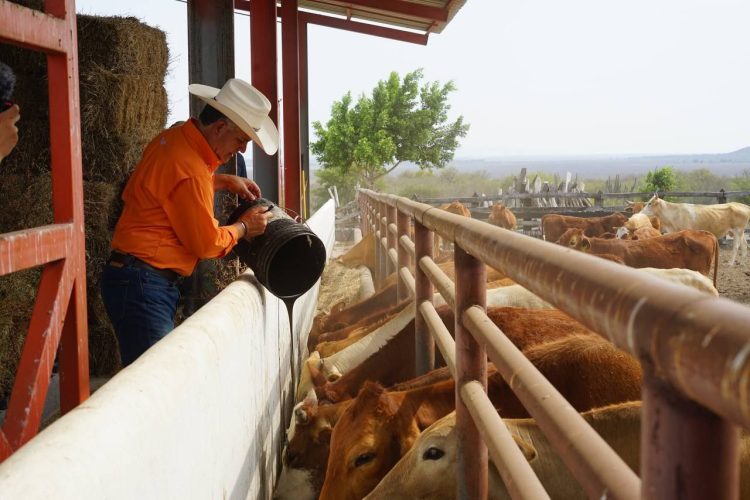 Candidatos: Quién es quién en redes sociales