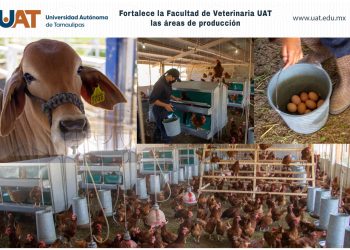 Fortalece UAT áreas de producción de Facultad de Veterinaria