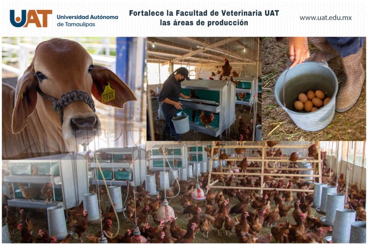 Fortalece UAT áreas de producción de Facultad de Veterinaria
