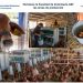 Fortalece UAT áreas de producción de Facultad de Veterinaria