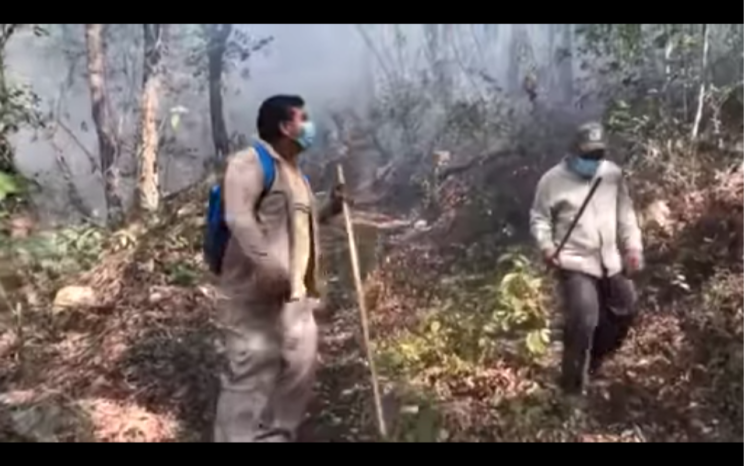 Siguen combatiendo incendio en Los San Pedros, que ha consumido 200 hectáreas