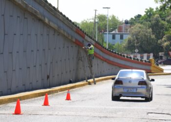 Lalo Gattás le da «manita de león» a la joroba