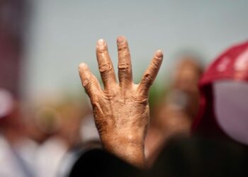 Levantar la mano al verdugo