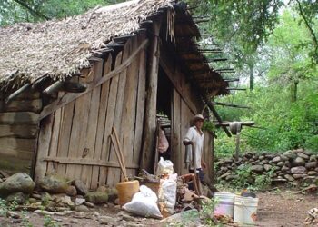 PUERTO DE  ARRAZOLO,  NATURALEZA  VIRGEN