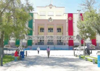Tercos como las acémilas