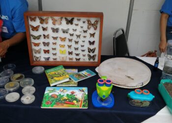Desarrolla UAT proyecto sobre insectos indicadores de calidad ambiental en áreas urbanas