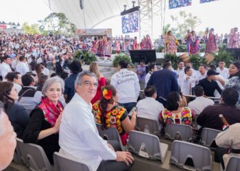 Elección sobre las rodillas