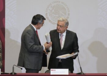 Males del PAN son de origen vacuno