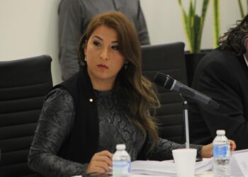 PAN, batalla para agarrar moscas