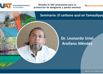 Estudia UAT propuestas para la protección de manglares y pastos marinos
