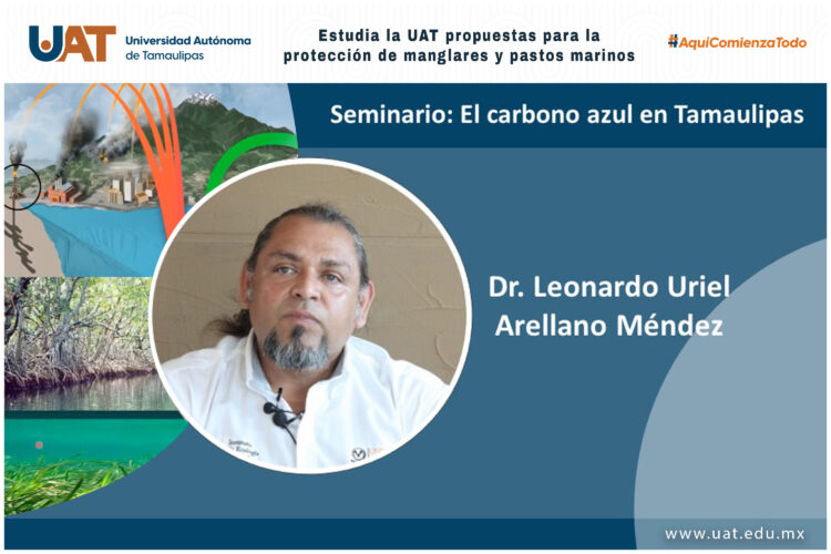 Estudia UAT propuestas para la protección de manglares y pastos marinos