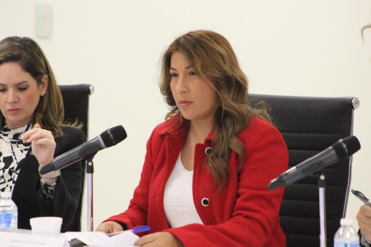 Diputados vuelven a soñar: Quieren que CFE baje tarifas en la capital