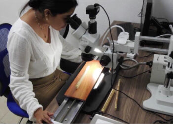 Incrementa UAT ingreso de docentes al Sistema Nacional de Investigadores