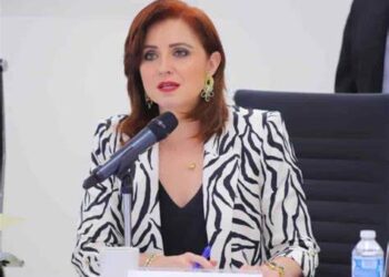 Imelda pide licencia como diputada. Es candidata del PRIAN al Senado