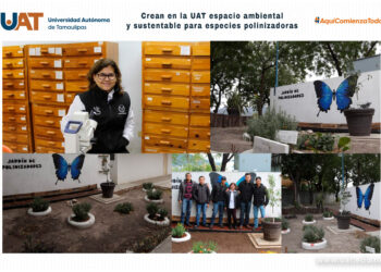 Crea UAT espacio ambiental y sustentable para especies polinizadoras