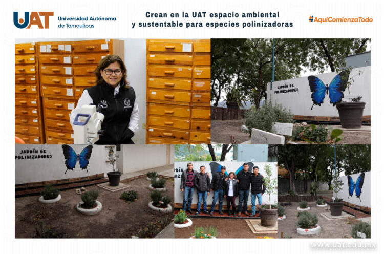 Crea UAT espacio ambiental y sustentable para especies polinizadoras
