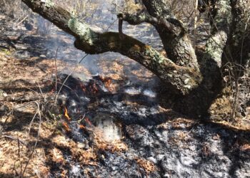 Combaten incendio en Miquihuana