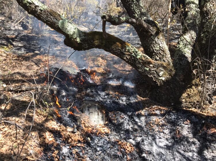 Combaten incendio en Miquihuana