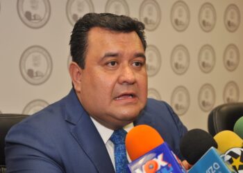 Fiscal y Auditor no son inamovibles