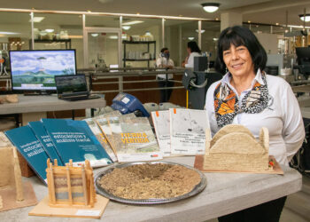 Investigadora de la UAT estudia técnicas sustentables para construcción de vivienda