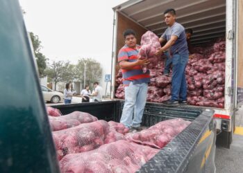 Donan al DIF Tamaulipas 19 toneladas de cebolla