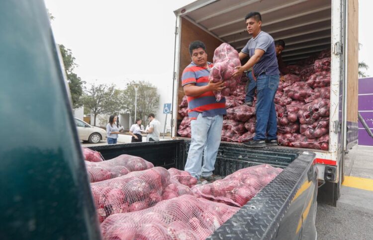 Donan al DIF Tamaulipas 19 toneladas de cebolla