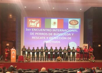 Tamaulipas participa en encuentro de perros de búsqueda
