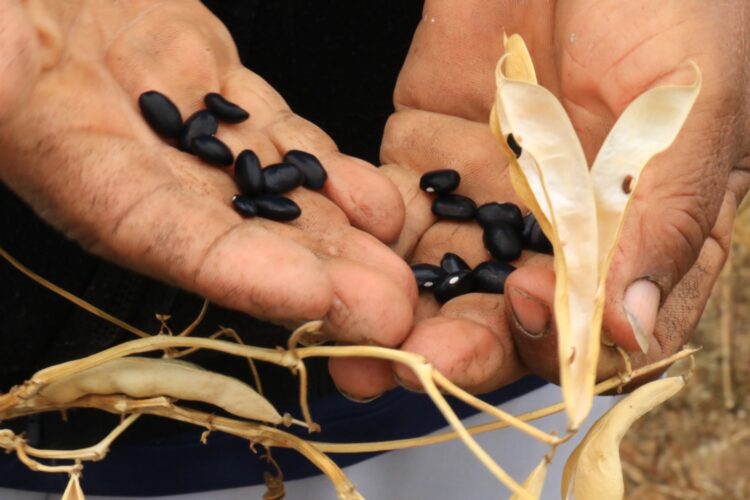 Empieza a rendir fruto apoyo de Gattás a productores