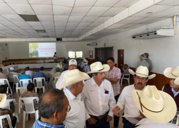 Conferencia citrícola en Güemez: “Dragón amarillo” es incurable y mortal