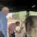 Mónica: Medio siglo haciendo pan original de la “tierra de filósofos”