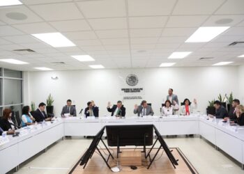 Un Auditor sinvergüenza