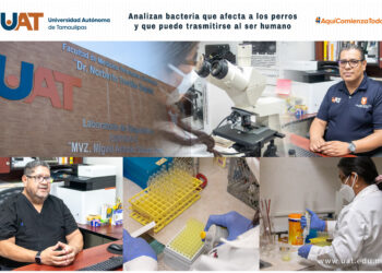 La UAT analiza bacteria que afecta a perros y puede trasmitirse a humanos