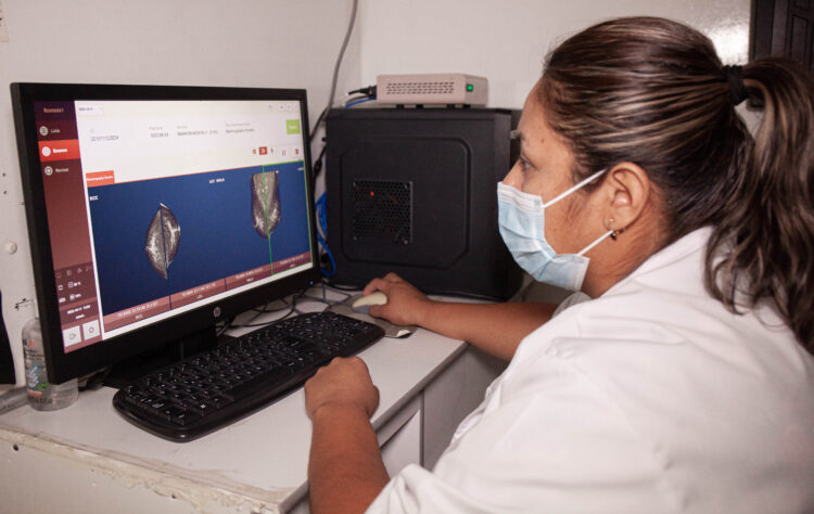 Invita DIF Tamaulipas a campaña gratuita de prevención de cáncer