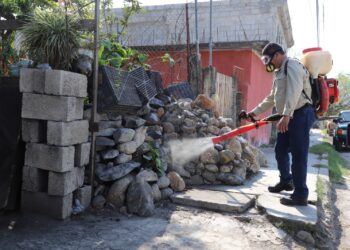 Exhorta Salud a la población reforzar prevención contra  dengue