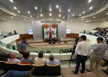 En Tamaulipas los animales ya son “seres sintientes”