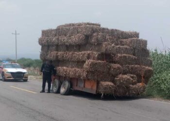 Iba para Ocampo: Se le ponchan las 4 llantas del remolque