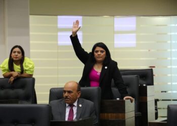Demostrar que candidatos son LGBTI