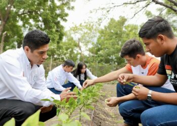 Pondrá en marcha la UAT nueva plataforma de servicios escolares