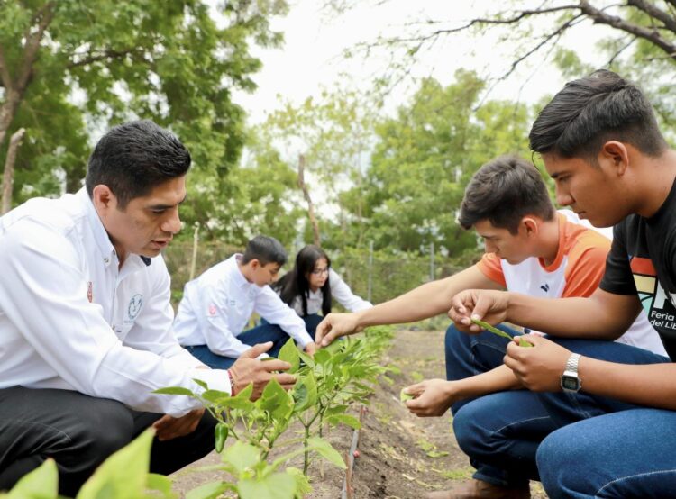 Pondrá en marcha la UAT nueva plataforma de servicios escolares