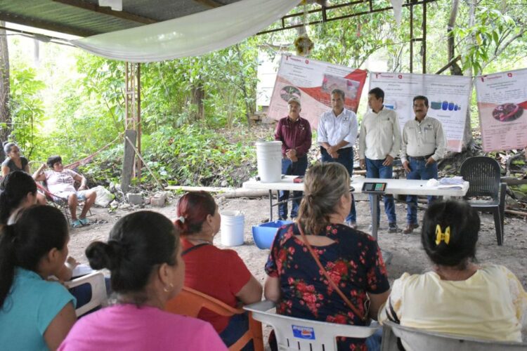 Capacitan a productores en elaboración de insumos en Llera