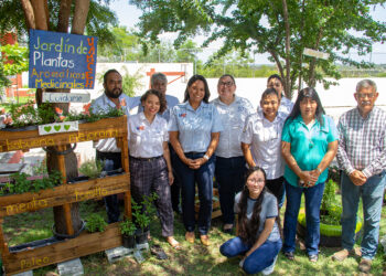Cultivan en espacios de la UAT plantas aromáticas y medicinales