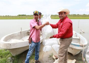 Empiezan a sembrar lobina negra en la presa Guerrero
