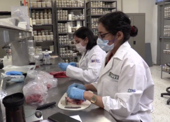 Participará la UAT en proyectos con universidades de Estados Unidos