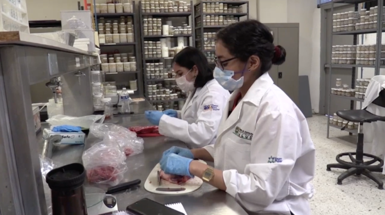 Participará la UAT en proyectos con universidades de Estados Unidos