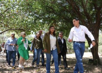 Rehabilita SEDUMA Vivero Anacahuita en Victoria