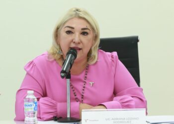 Llegan a Tamaulipas 710 MDP para pavimentación: Adriana Lozano
